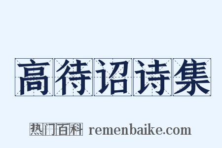 高待诏诗集是什么意思的图片